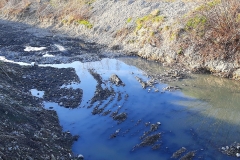 127470188_213071576854350_9074028615598832925_n