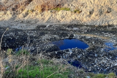 127499494_291478668875563_5565607096710125444_n