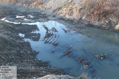 127640016_968337986993632_4887159880669439594_n