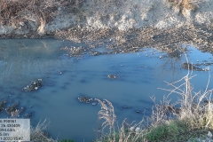 127711879_174015064395581_5914308198321039506_n