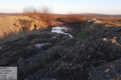 127768580_123538882714443_8160923375980107698_n