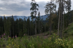 WhatsApp-Image-2022-07-19-at-20.06.03-Copy