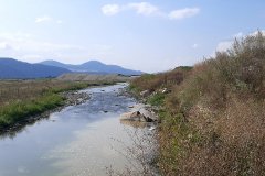 237069840_371516231348143_1604973458964576142_n