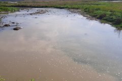 238794640_380796996948456_4394468235854612706_n