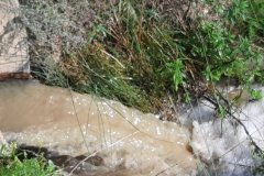 238815419_1024284881713646_4951035792841891594_n