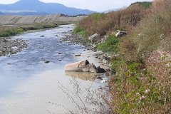 238897291_1012944059536792_2503940462931441319_n