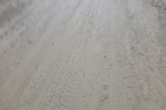 WhatsApp-Image-2026-01-27-at-20.29.20