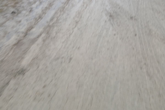 WhatsApp-Image-2026-01-27-at-20.29.25