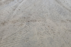 WhatsApp-Image-2026-01-27-at-20.29.29