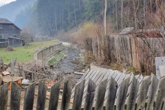 IMG-20191129-WA0002